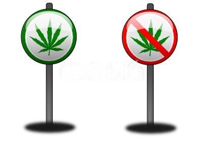 Pochons XL feuilles cannabis – Natural Mystic